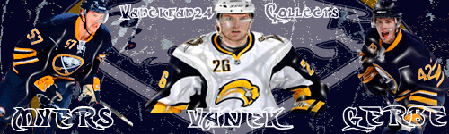 gerbe-myers-vanek-banner2.gif