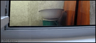 0k2SR.gif
