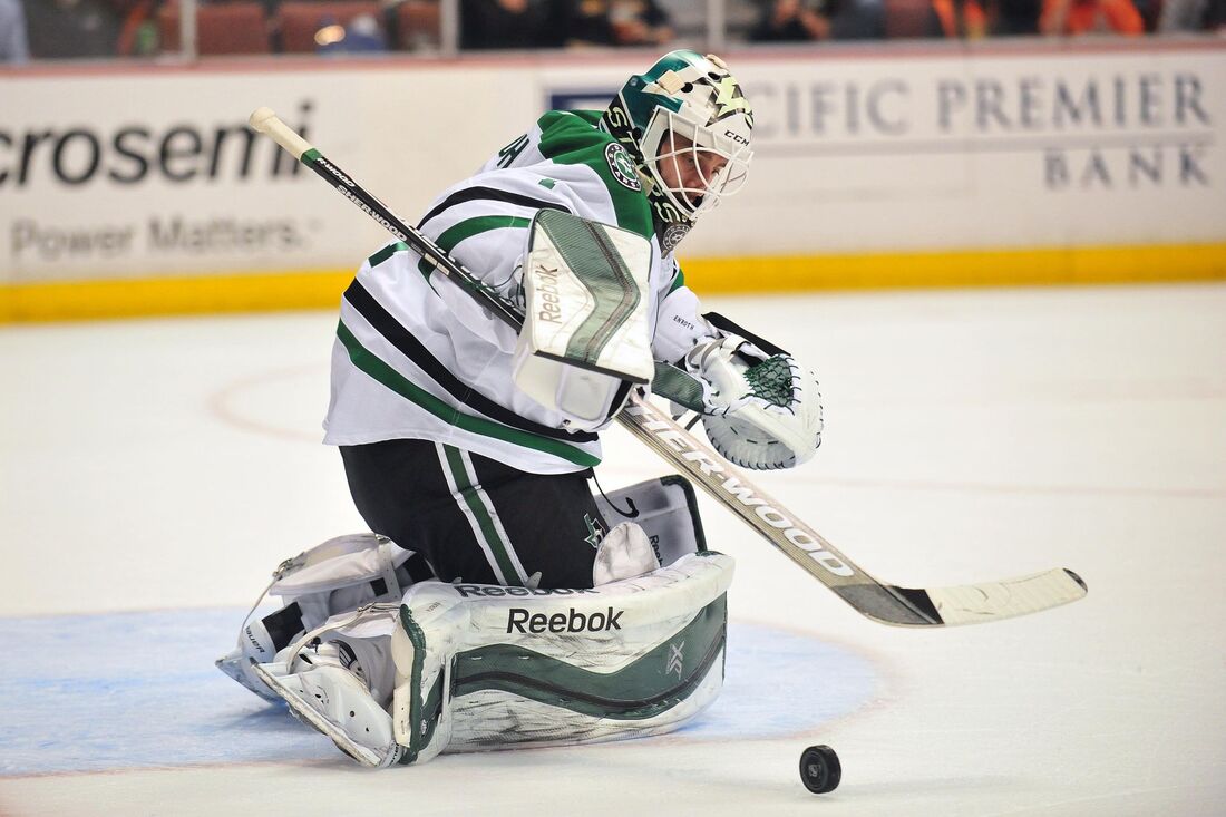 enroth-dallas-stars-nhl_orig.jpg
